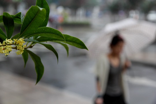 南昌雨水渐歇