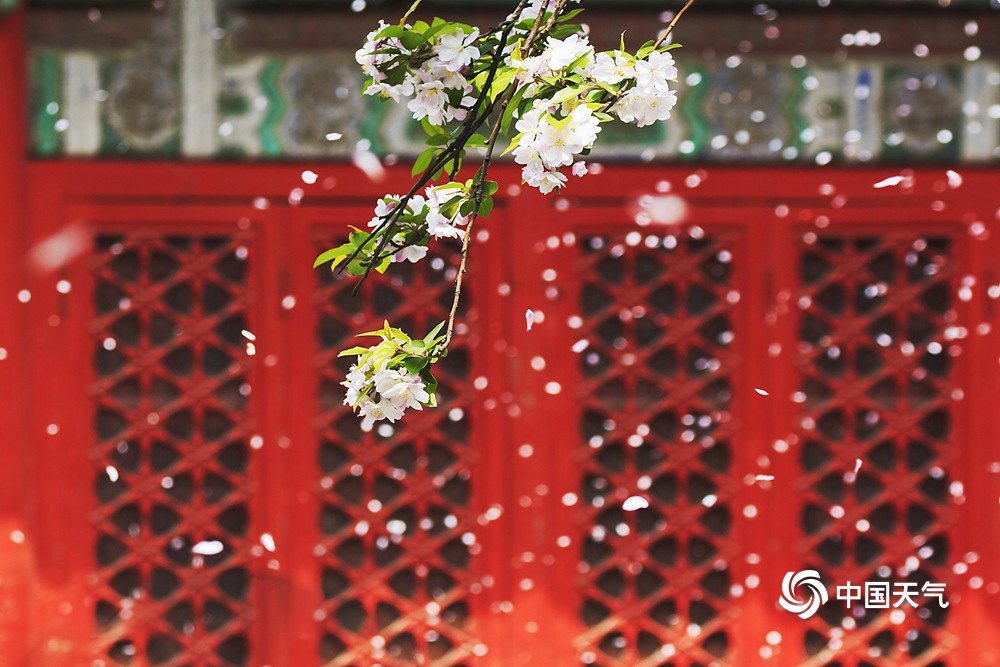 故宫的四季美图 每一张都是壁纸
