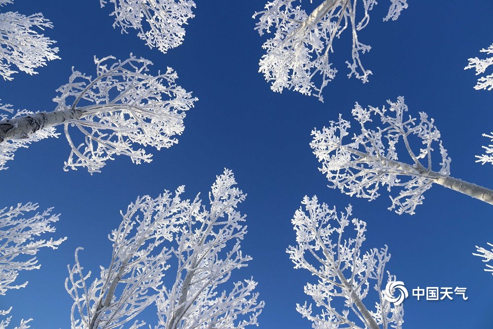 解锁最美冬季赏雪地 冰雪世界美若童话