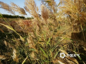 今年第14号台风“灿鸿”生成 假期后半程天气看这里