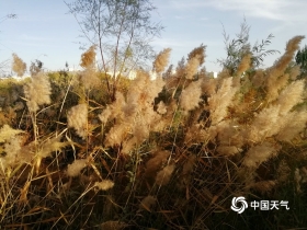 秋分时节保暖拒秋冻
