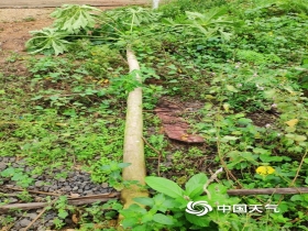 铁岭|好一幅秋色美景图