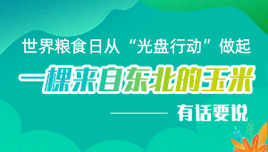 世界粮食日从“光盘行动”做起 一棵来自东北的玉米有话要说