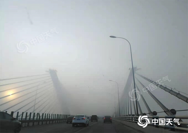 重庆浓雾致高速收费站交通管制 明后天仍有雾