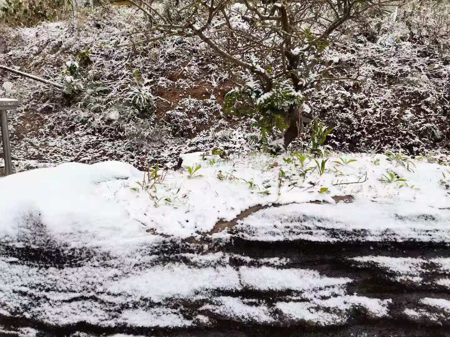 2021开年寒潮来袭，文山州局地出现降雪