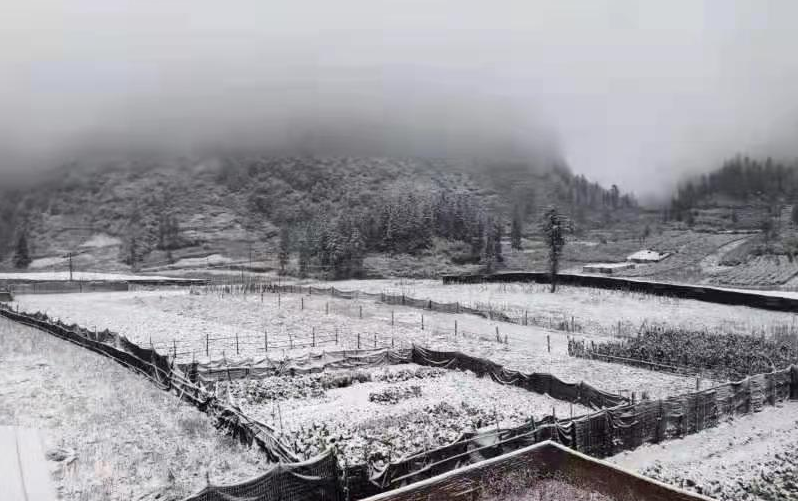 2021开年寒潮来袭，文山州局地出现降雪