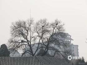 北京空气重污染黄色预警生效中 天空灰蒙蒙