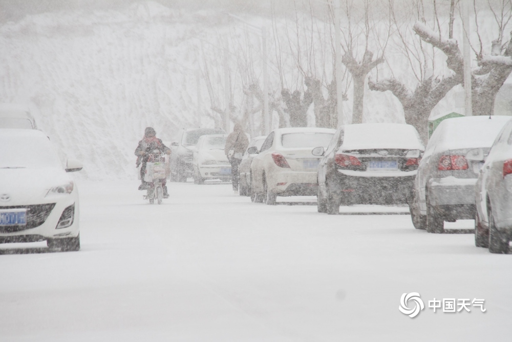 山东威海狂风大作雪花飞舞 天地间一片模糊